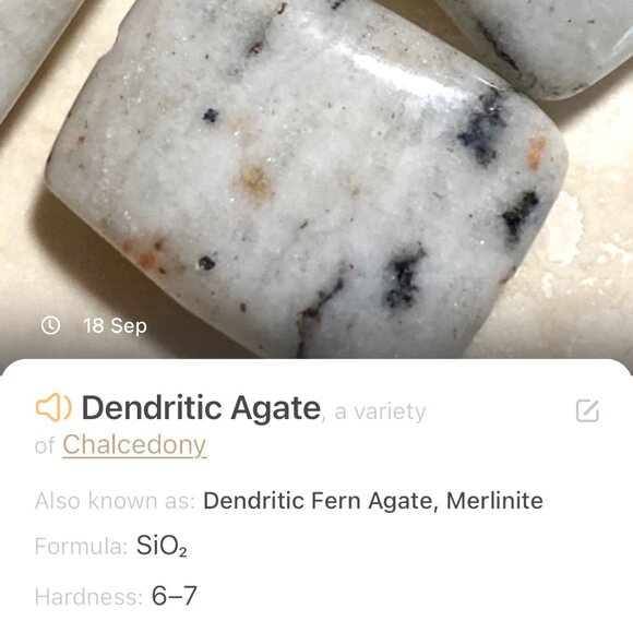 2/$20, Genuine White Dendritic Agate Celtic Trinity Sterling Silver Earrings - Picture 9 of 11